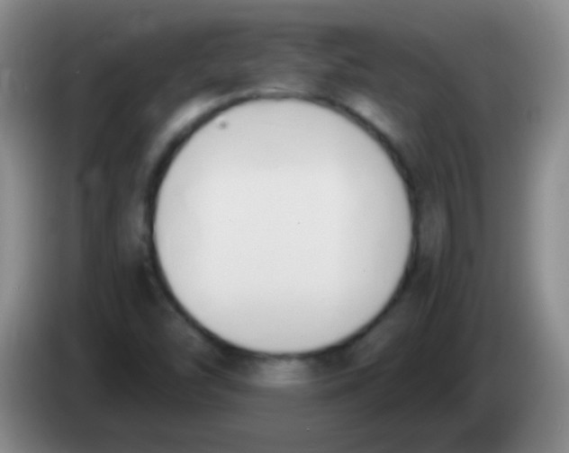 X0000084011454200703091917