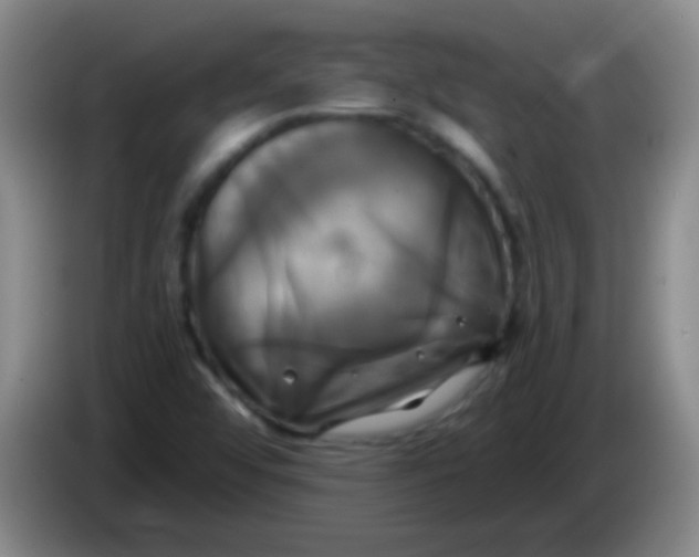 X0000084011456200703091917