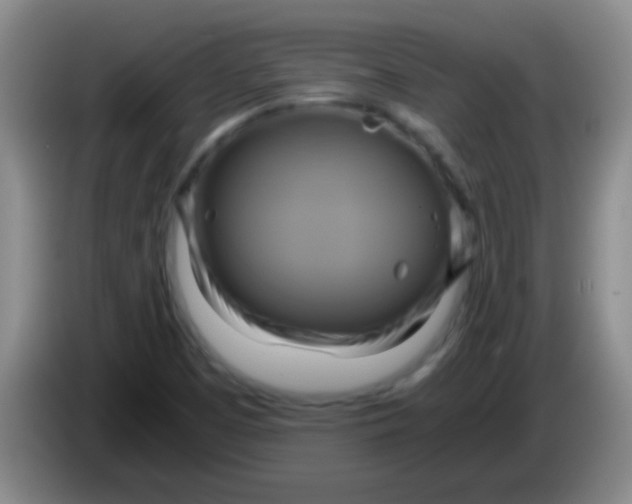 X0000084011457200703091917