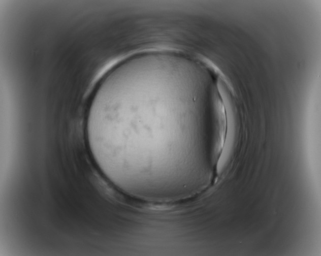 X0000084011460200703091917