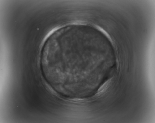 X0000084011463200703091917