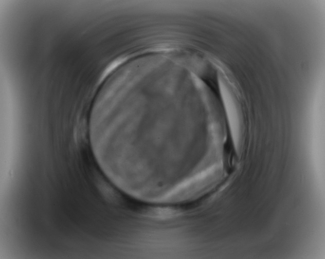 X0000084011465200703091916