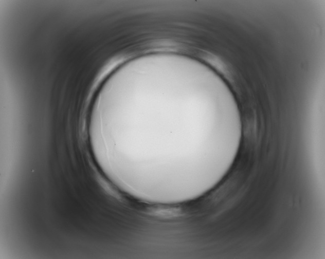 X0000084011466200703091916