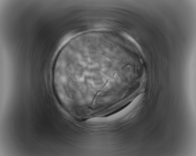 X0000084011467200703091916