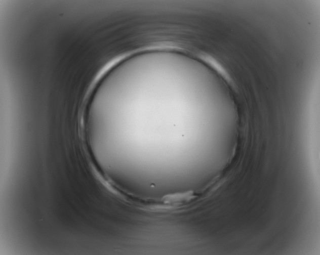 X0000084011468200703091916