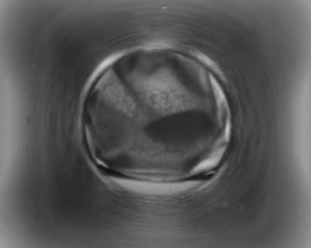 X0000084011469200703091916