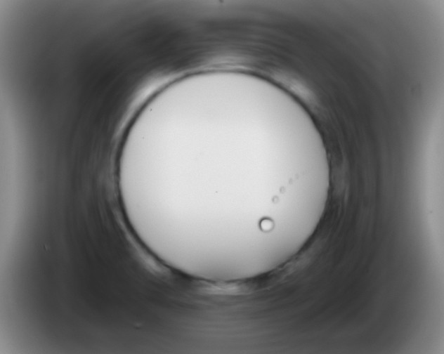 X0000084011470200703091916