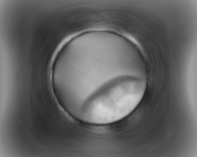 X0000084011472200703091916