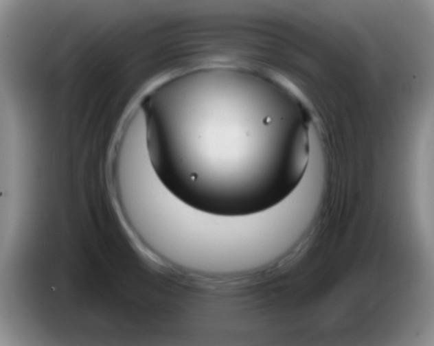 X0000084011474200703091916