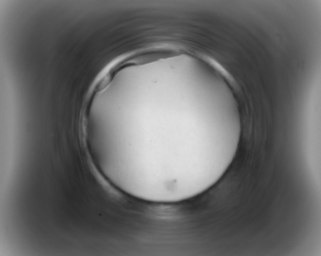 X0000084011476200703091916