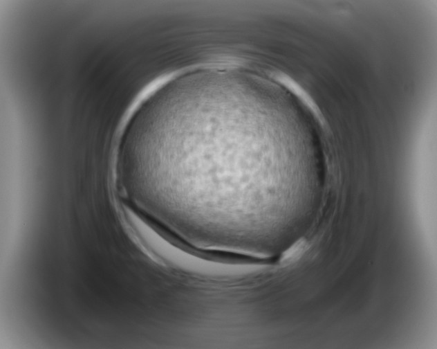 X0000084011477200703091916