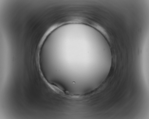 X0000084011480200703091916