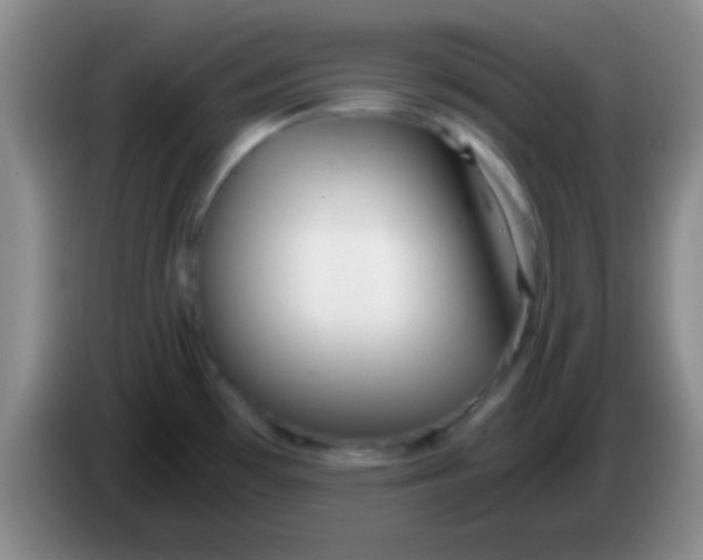 X0000084011481200703091916