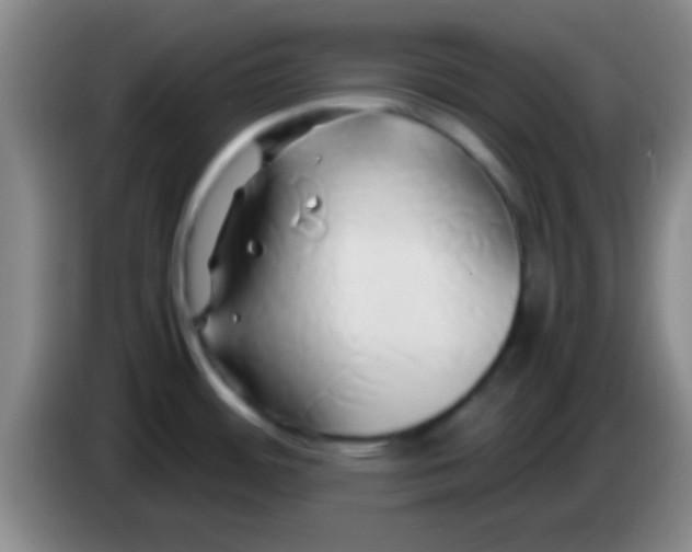 X0000084011484200703091916