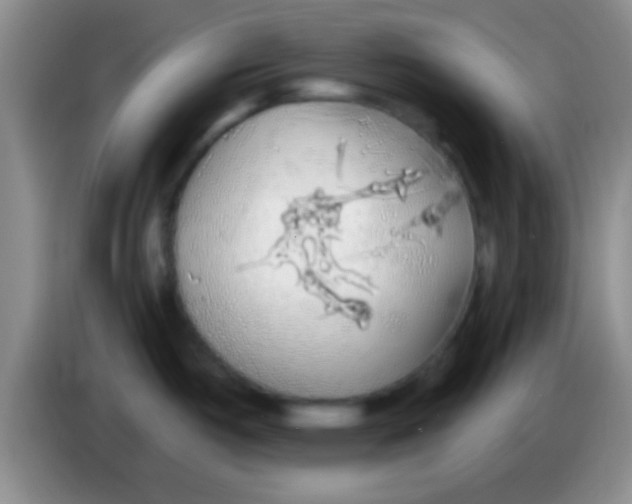 X0000084011487200703091916