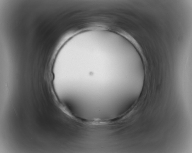 X0000084011488200703091916