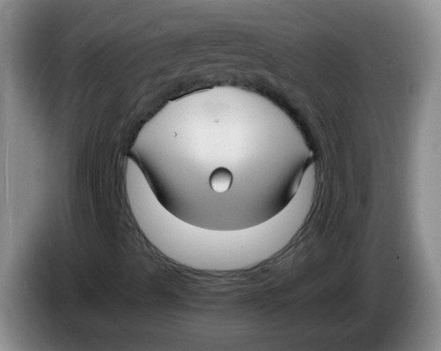 X0000084011489200703091916