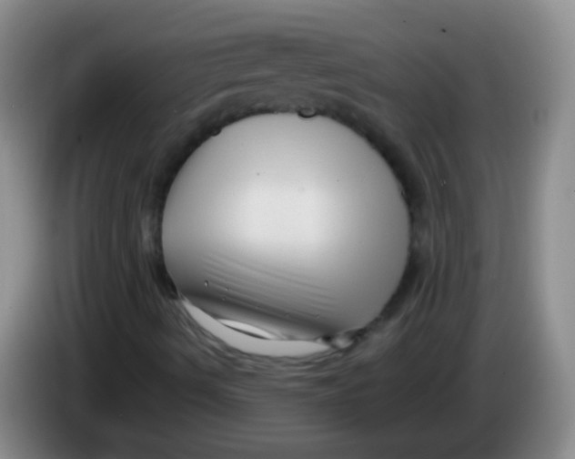 X0000084011490200703091916