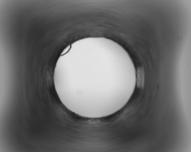 X0000084011491200703091916