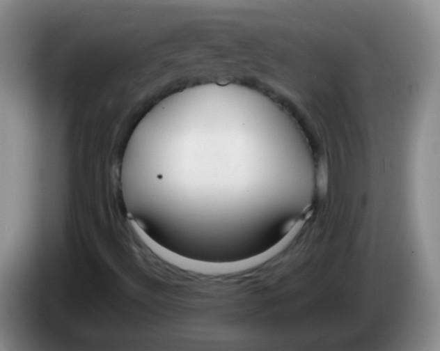 X0000084011492200703091916