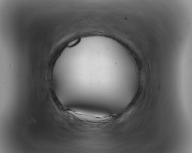 X0000084011494200703091916