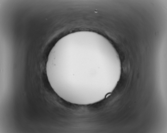 X0000084011495200703091916