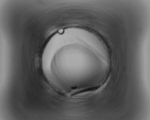 X0000084011497200703091916