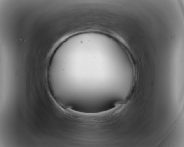 X0000084011500200703091916