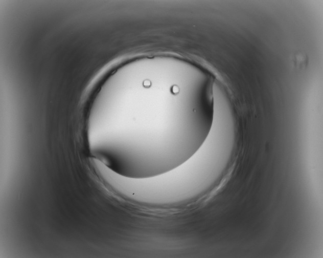 X0000084011502200703091916