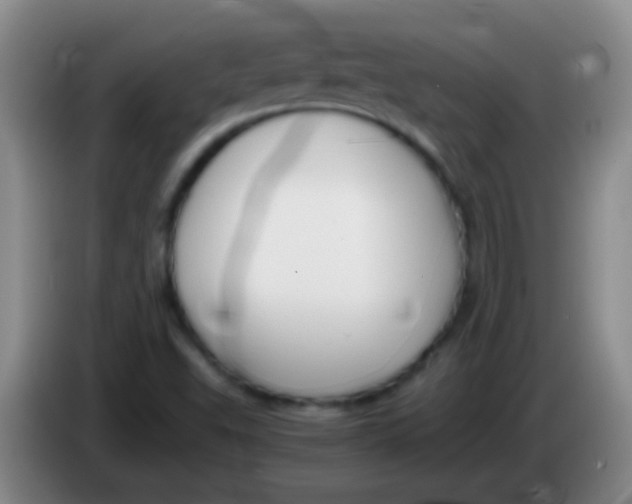 X0000084011503200703091916