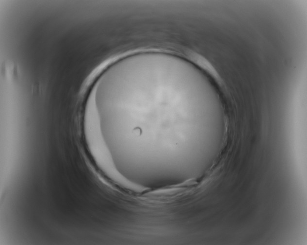 X0000084011504200703091916