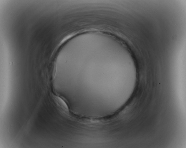 X0000084011505200703091916