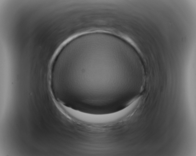 X0000084011508200703091916