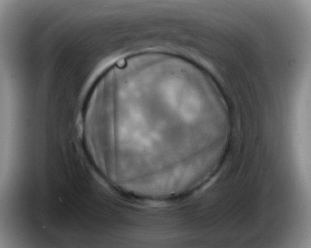 X0000084011509200703091916