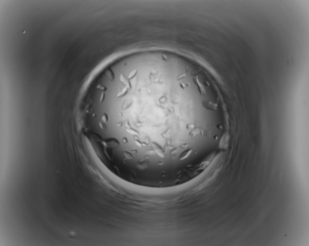 X0000084011510200703091916