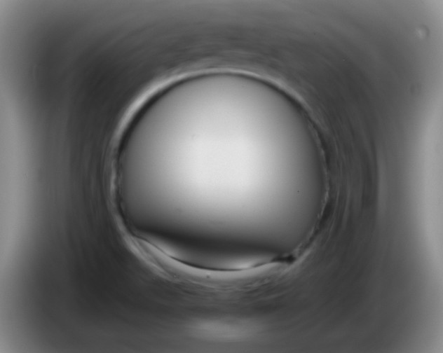 X0000084011511200703091916