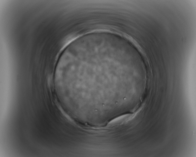 X0000084011513200703091916