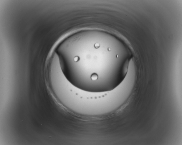 X0000084011514200703091916