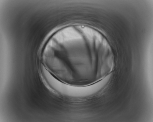 X0000084011515200703091916