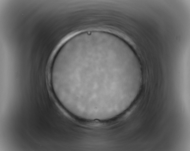 X0000084011517200703091916