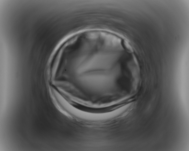 X0000084011519200703091916