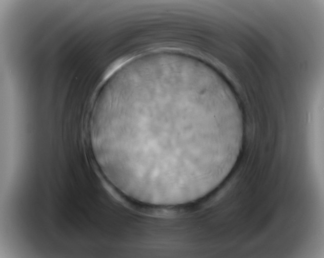 X0000084011521200703091916