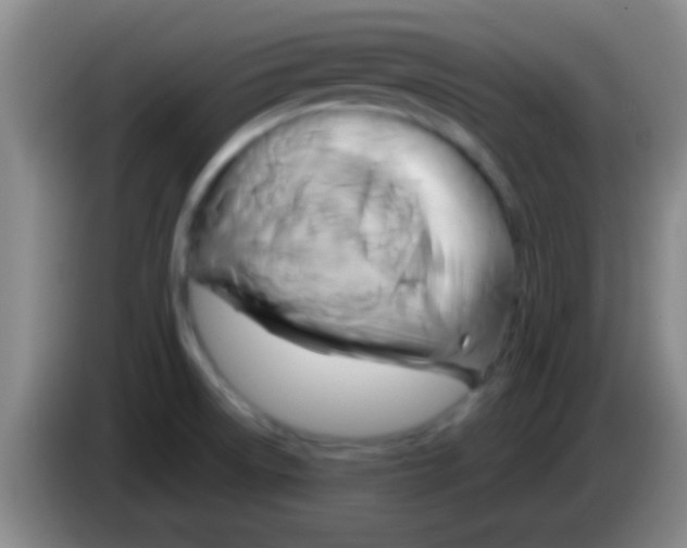 X0000084011522200703091916