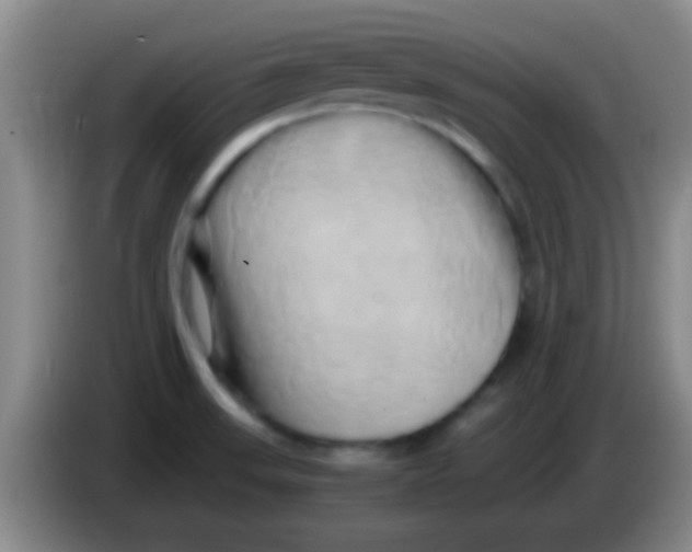 X0000084011523200703091916