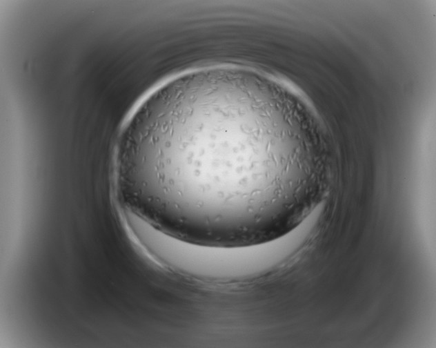 X0000084011524200703091916