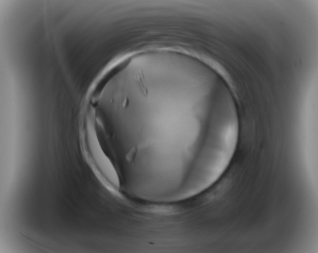 X0000084011525200703091916