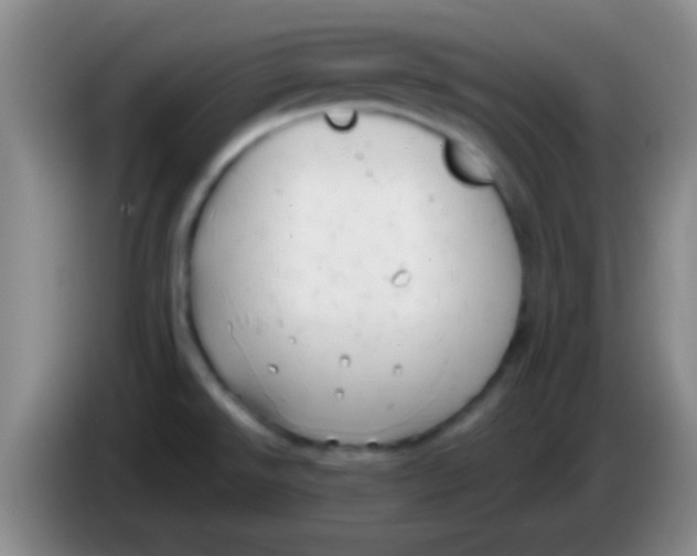 X0000084011526200703091916