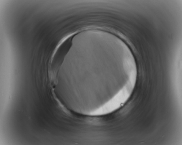 X0000084011529200703091916