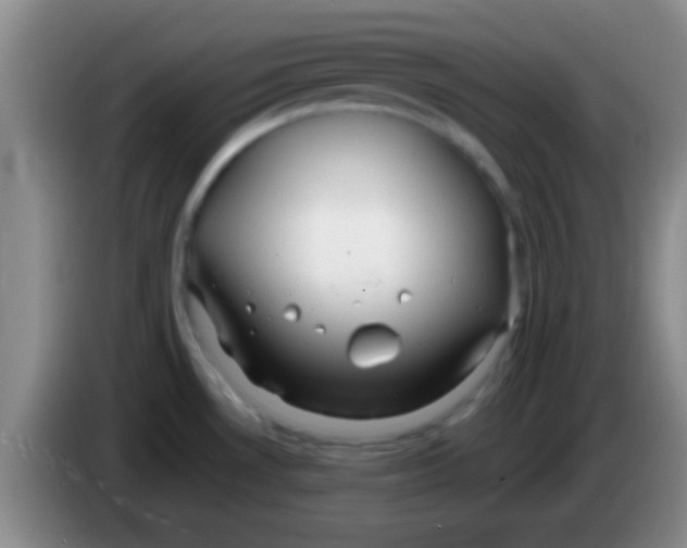 X0000084011530200703091916