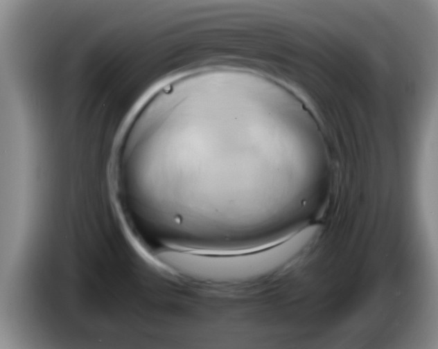 X0000084011531200703091916